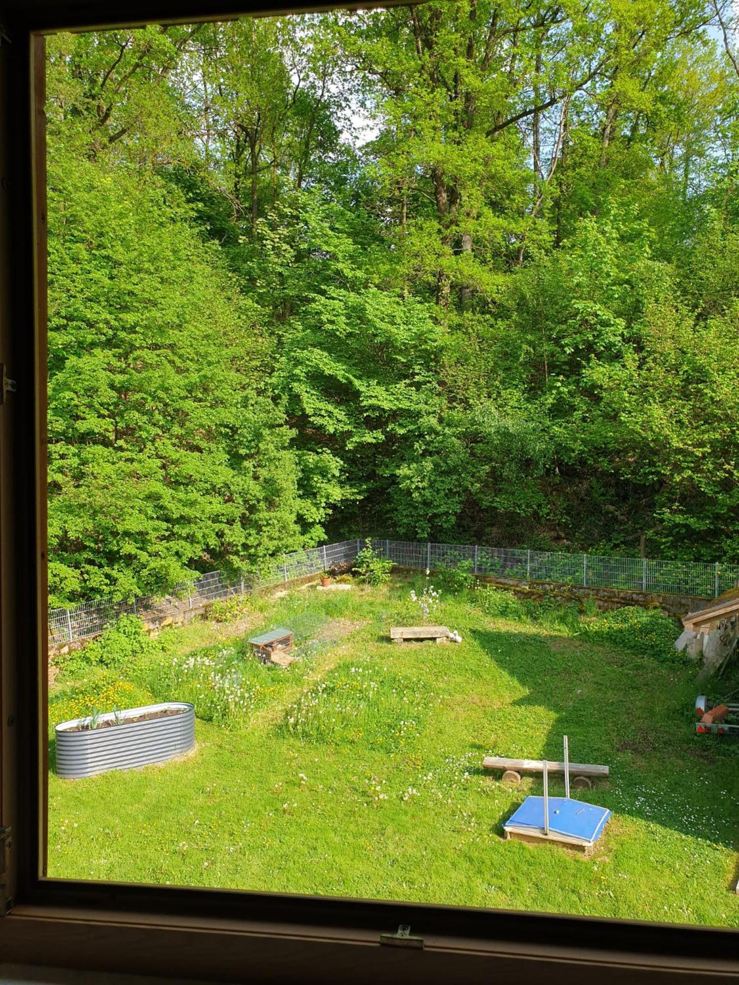 Ferienwohnung Und Sommerhaus Unter Der Burg Falkenberg  Zewnętrze zdjęcie